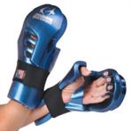 Warrior Punch